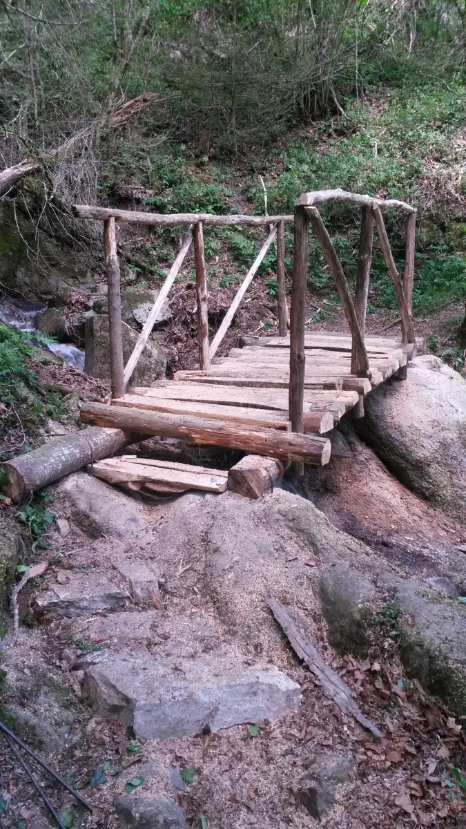 Passerelle clot del Cogull (1)     